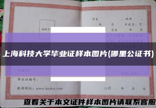 上海科技大学毕业证样本图片(哪里公证书)缩略图