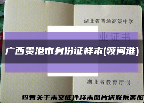 广西贵港市身份证样本(领问谁)缩略图