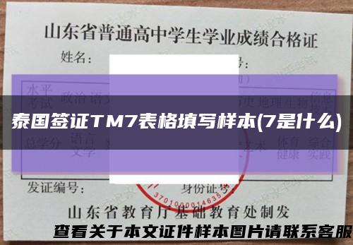 泰国签证TM7表格填写样本(7是什么)缩略图