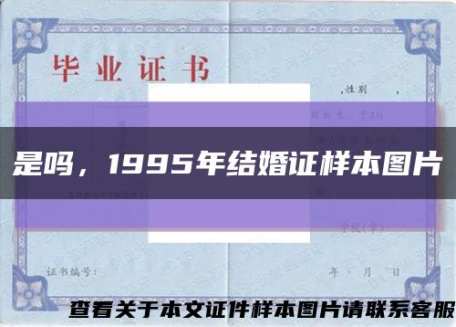 是吗，1995年结婚证样本图片缩略图