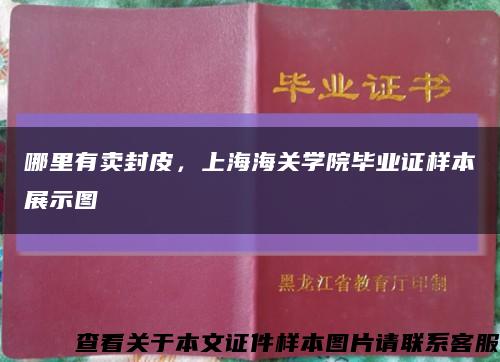 哪里有卖封皮，上海海关学院毕业证样本展示图缩略图