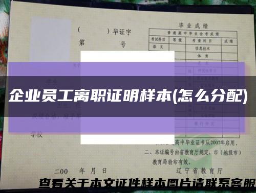 企业员工离职证明样本(怎么分配)缩略图