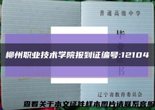 柳州职业技术学院报到证编号:12104缩略图