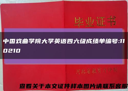中国戏曲学院大学英语四六级成绩单编号:110210缩略图