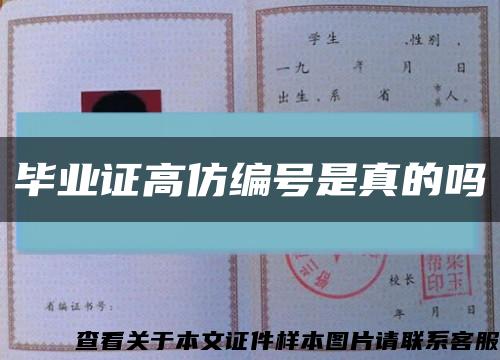 毕业证高仿编号是真的吗缩略图