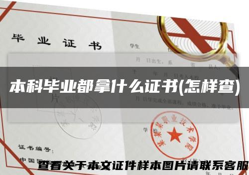 本科毕业都拿什么证书(怎样查)缩略图