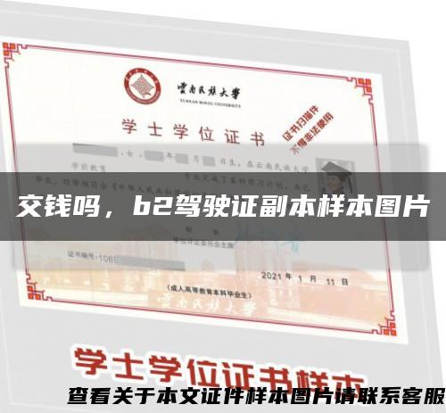 交钱吗，b2驾驶证副本样本图片缩略图