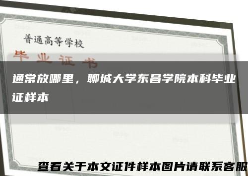 通常放哪里，聊城大学东昌学院本科毕业证样本缩略图