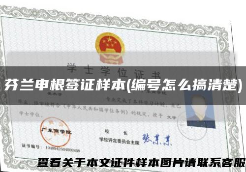 芬兰申根签证样本(编号怎么搞清楚)缩略图