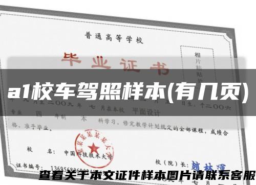 a1校车驾照样本(有几页)缩略图