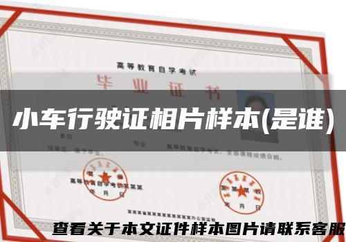 小车行驶证相片样本(是谁)缩略图