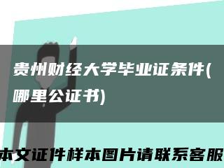 贵州财经大学毕业证条件(哪里公证书)缩略图