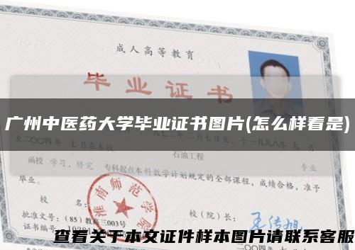 广州中医药大学毕业证书图片(怎么样看是)缩略图