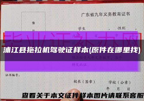 浦江县拖拉机驾驶证样本(原件在哪里找)缩略图