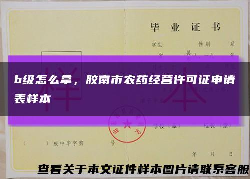 b级怎么拿，胶南市农药经营许可证申请表样本缩略图