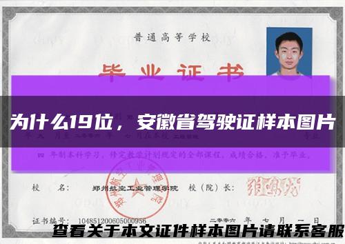为什么19位，安徽省驾驶证样本图片缩略图