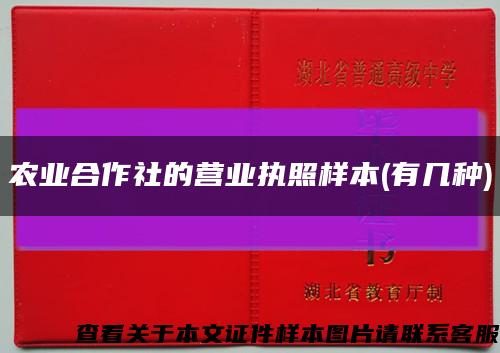 农业合作社的营业执照样本(有几种)缩略图