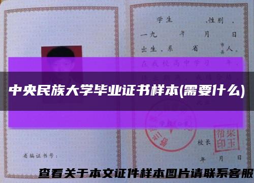 中央民族大学毕业证书样本(需要什么)缩略图
