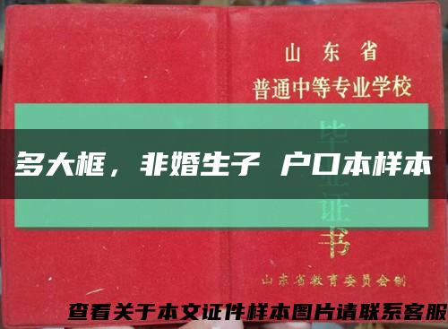 多大框，非婚生子 户口本样本缩略图
