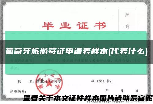 葡萄牙旅游签证申请表样本(代表什么)缩略图