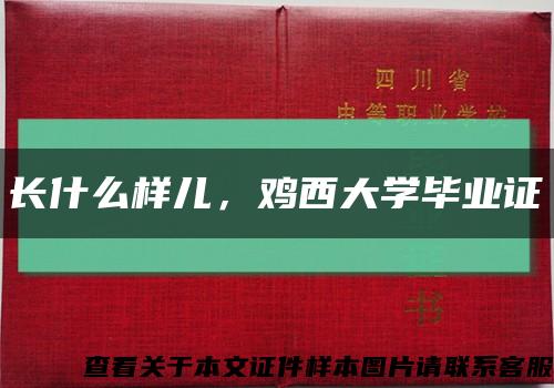 长什么样儿，鸡西大学毕业证缩略图