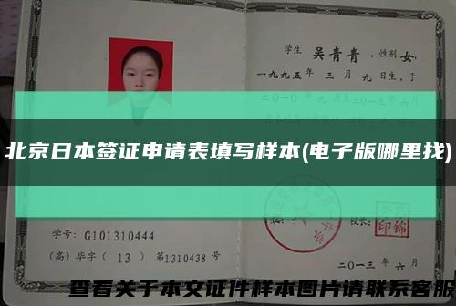 北京日本签证申请表填写样本(电子版哪里找)缩略图