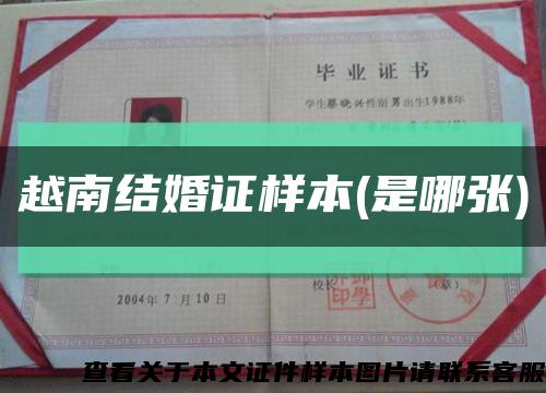 越南结婚证样本(是哪张)缩略图