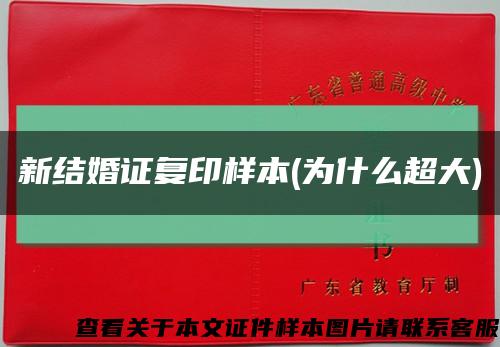 新结婚证复印样本(为什么超大)缩略图