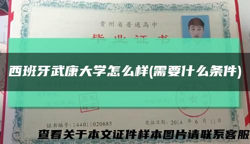西班牙武康大学怎么样(需要什么条件)缩略图