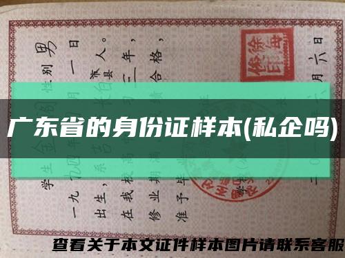 广东省的身份证样本(私企吗)缩略图