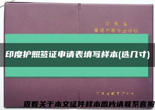 印度护照签证申请表填写样本(选几寸)缩略图