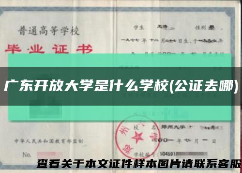 广东开放大学是什么学校(公证去哪)缩略图