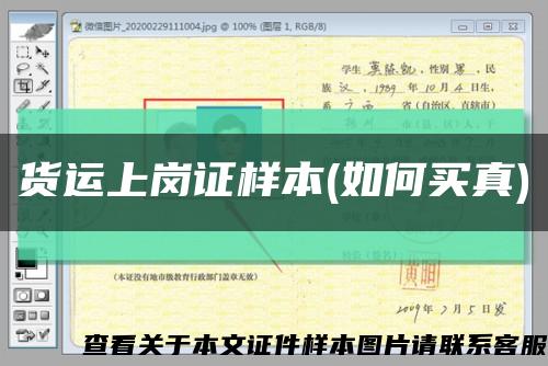 货运上岗证样本(如何买真)缩略图