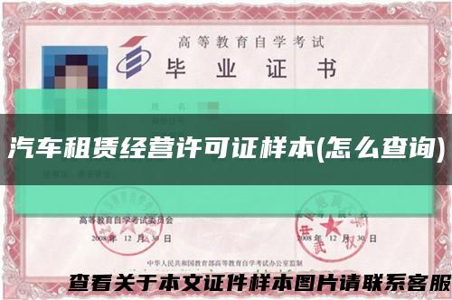 汽车租赁经营许可证样本(怎么查询)缩略图