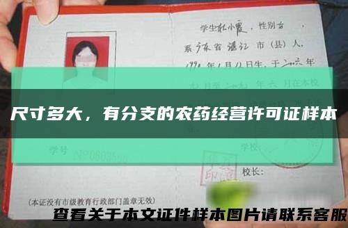 尺寸多大，有分支的农药经营许可证样本缩略图