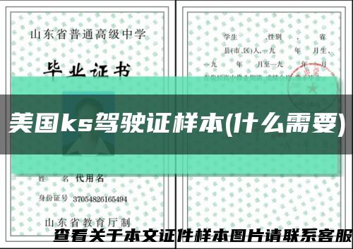 美国ks驾驶证样本(什么需要)缩略图