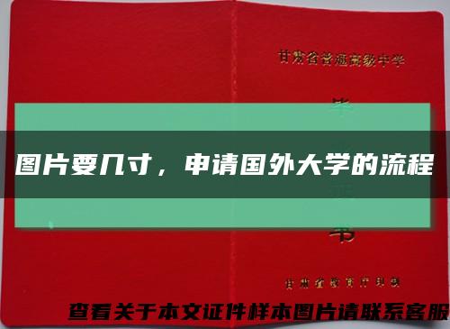 图片要几寸，申请国外大学的流程缩略图