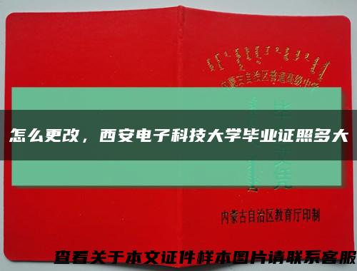 怎么更改，西安电子科技大学毕业证照多大缩略图