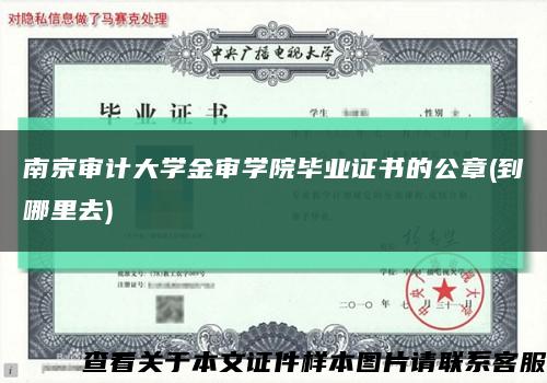 南京审计大学金审学院毕业证书的公章(到哪里去)缩略图