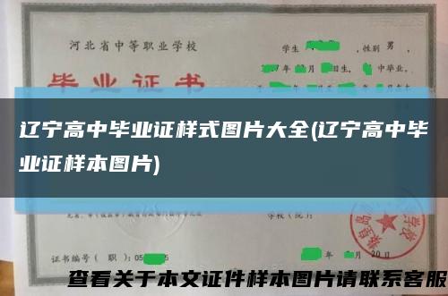 辽宁高中毕业证样式图片大全(辽宁高中毕业证样本图片)缩略图