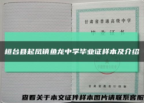 桓台县起凤镇鱼龙中学毕业证样本及介绍缩略图