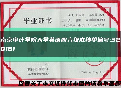 南京审计学院大学英语四六级成绩单编号:320161缩略图
