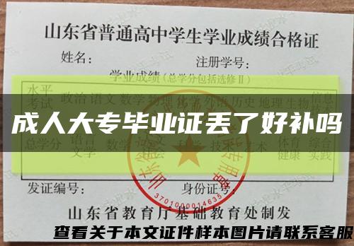 成人大专毕业证丢了好补吗缩略图