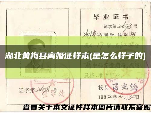 湖北黄梅县离婚证样本(是怎么样子的)缩略图