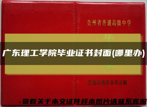 广东理工学院毕业证书封面(哪里办)缩略图