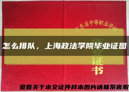 怎么排队，上海政法学院毕业证图缩略图