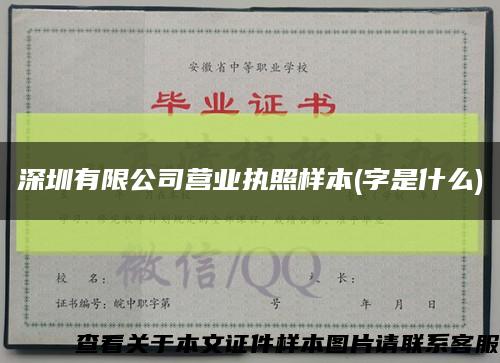 深圳有限公司营业执照样本(字是什么)缩略图