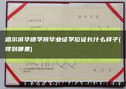 哈尔滨华德学院毕业证学位证长什么样子(领到哪里)缩略图