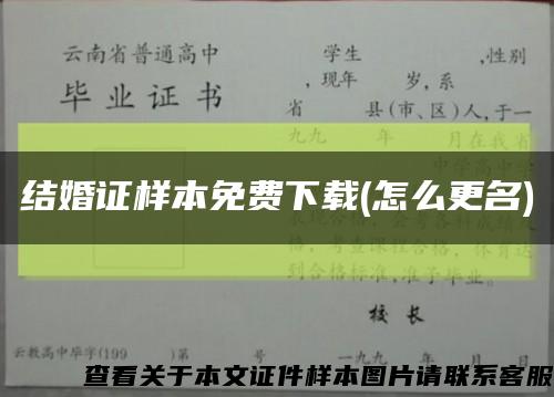 结婚证样本免费下载(怎么更名)缩略图