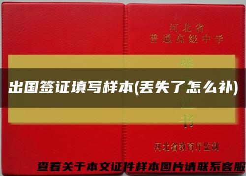 出国签证填写样本(丢失了怎么补)缩略图